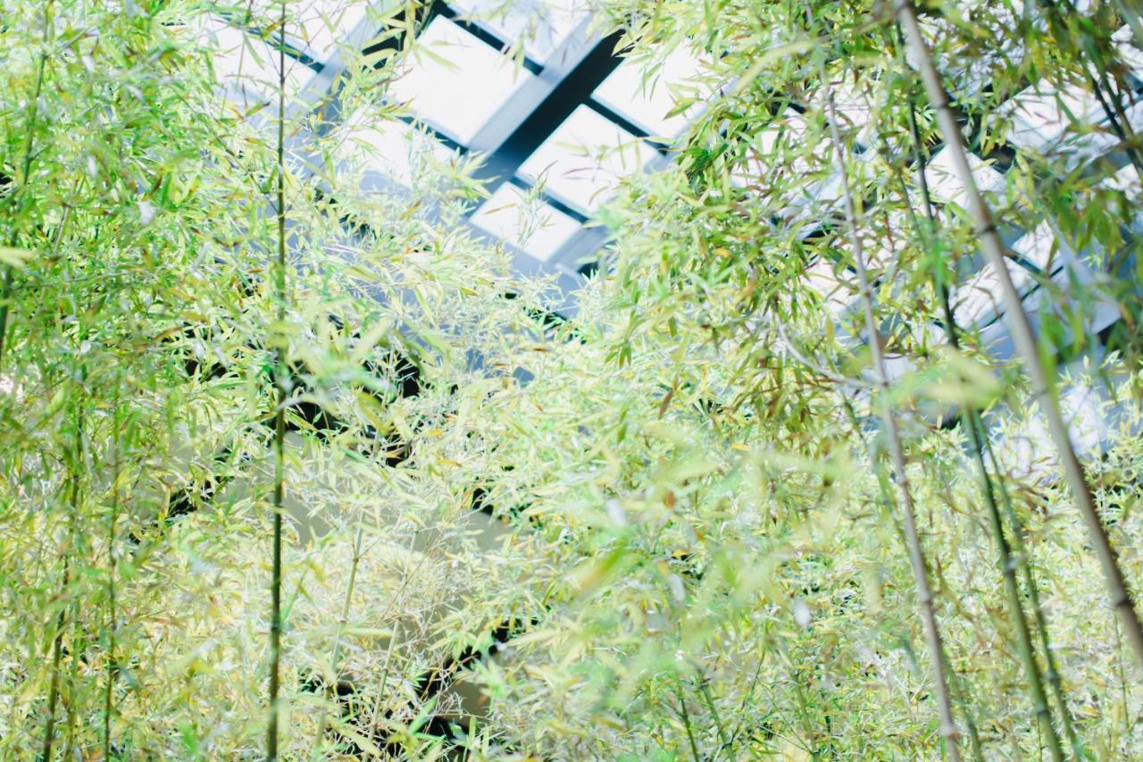 Dhawa Yura Kyoto - Banyan Group Hotel Exterior photo Bamboo forest